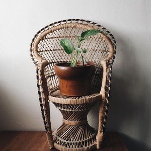 2 Boho peacock plant stand